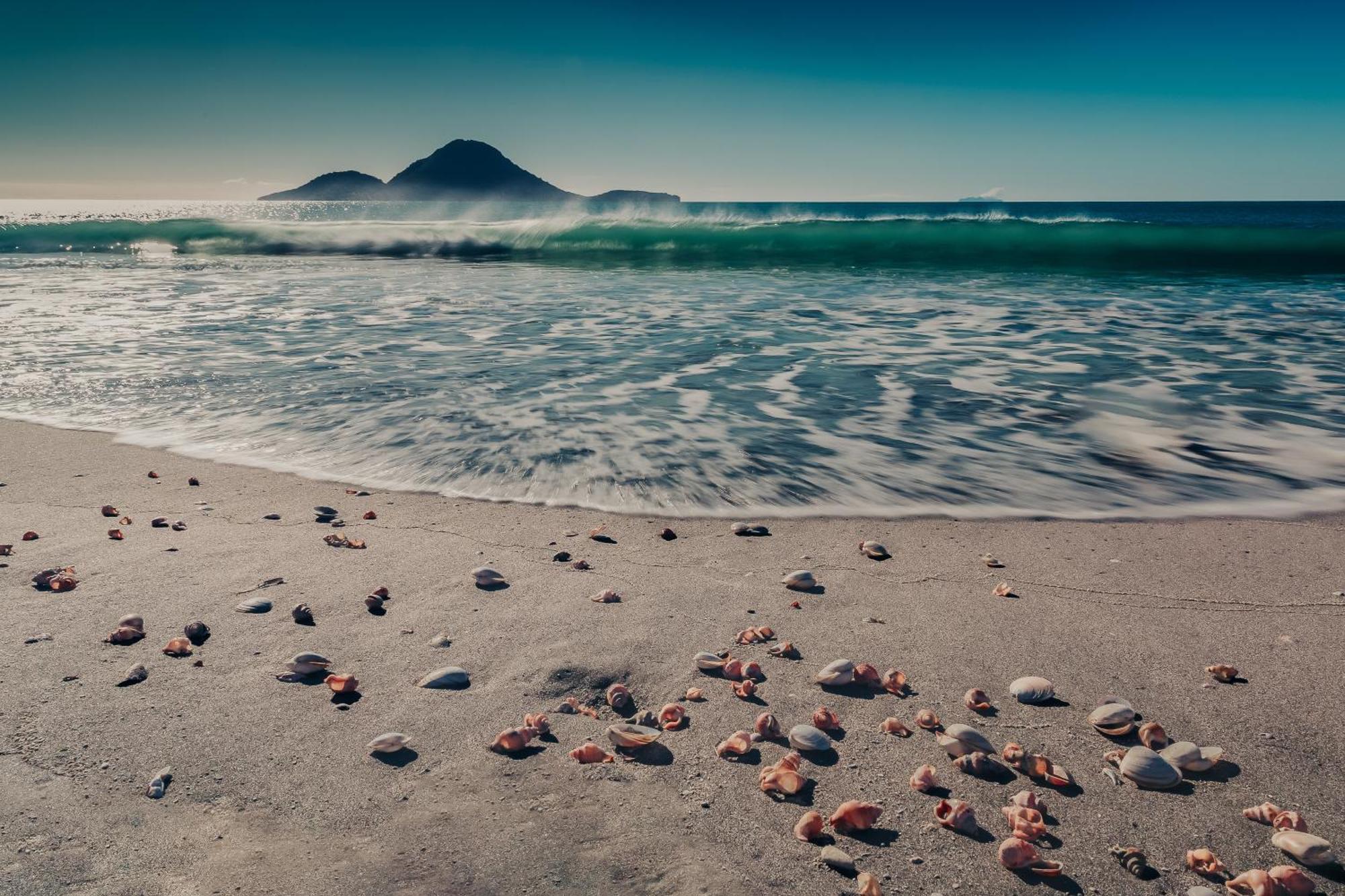 Sunrise Accommodation Whakatane Bagian luar foto